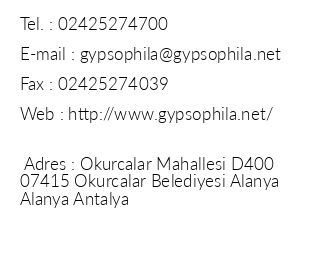 Gypsophila Holiday Village iletiim bilgileri